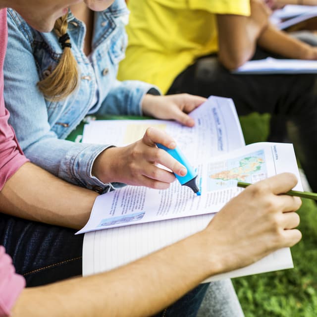 Image représentative de le diplôme DTS